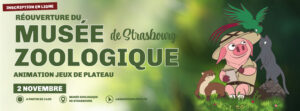 Après-midi jeux au Musée Zoologique de Strasbourg 2025 @ Musée zoologique de Strasbourg | Strasbourg | Grand Est | France